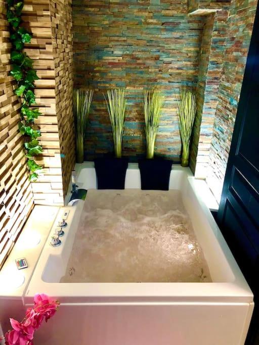 Apartment La Romantique Jacuzzi,parking Gratuit,centre