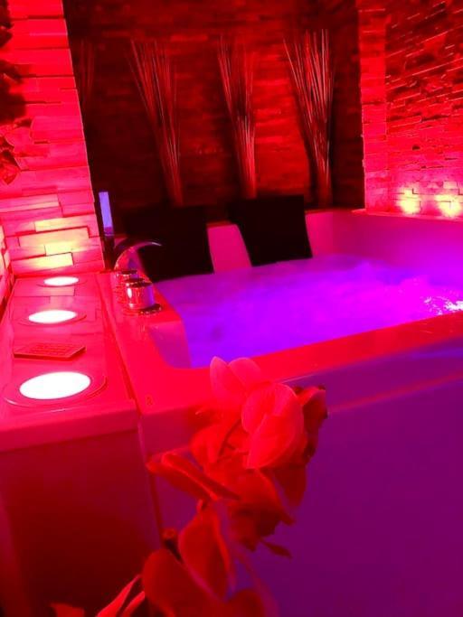 Apartment La Romantique Jacuzzi,parking Gratuit,centre Sens
